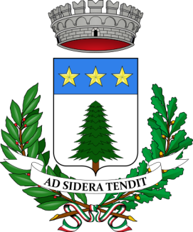 Pino Torinese Logo